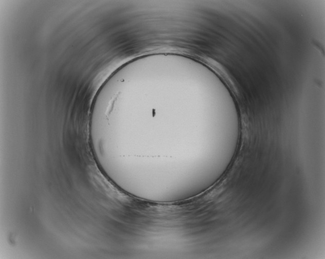 X0000102871244200809081158