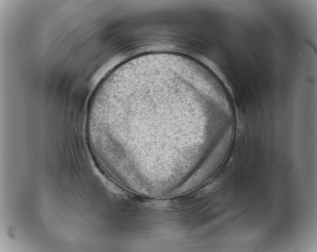 X0000102871245200809081158