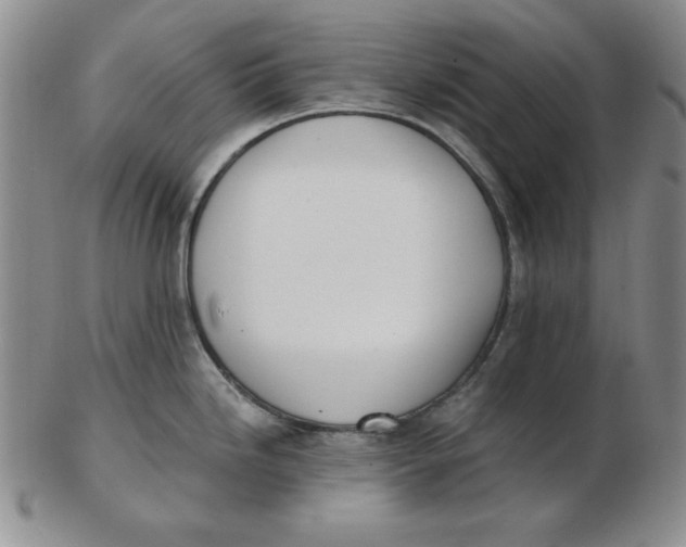 X0000102871246200809081158