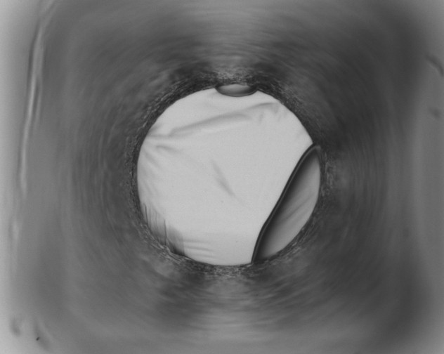 X0000102871249200809081158