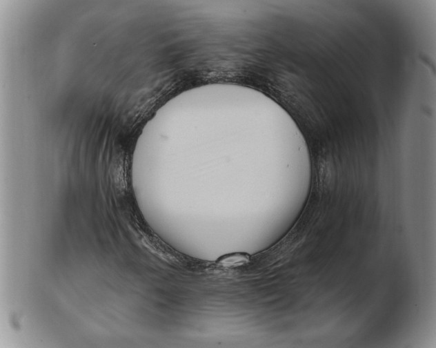 X0000102871250200809081158