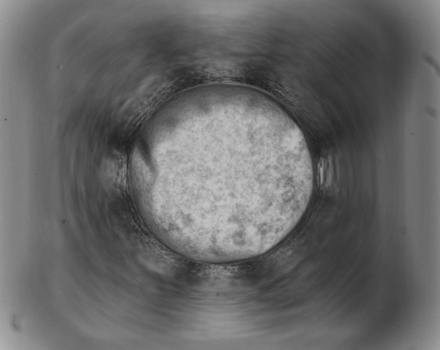 X0000102871251200809081158