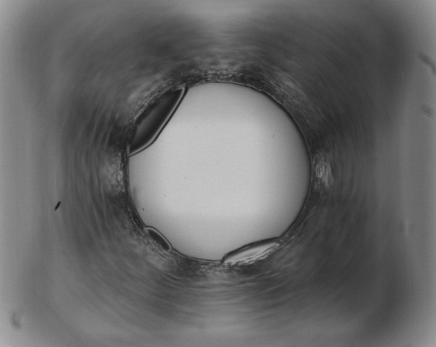 X0000102871252200809081158