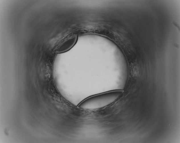 X0000102871253200809081158