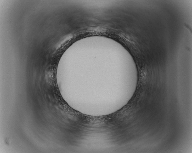 X0000102871254200809081158