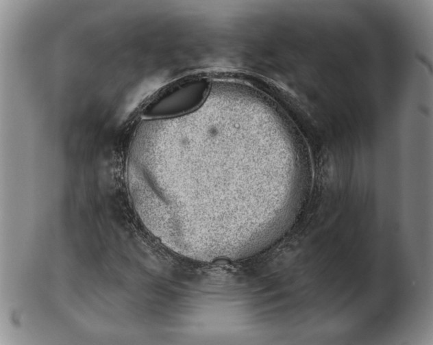 X0000102871255200809081157