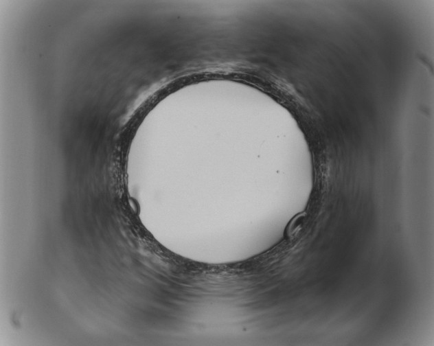 X0000102871256200809081157