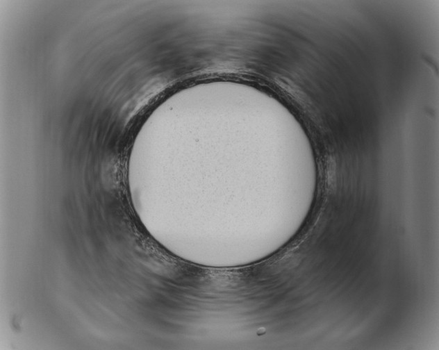 X0000102871258200809081157