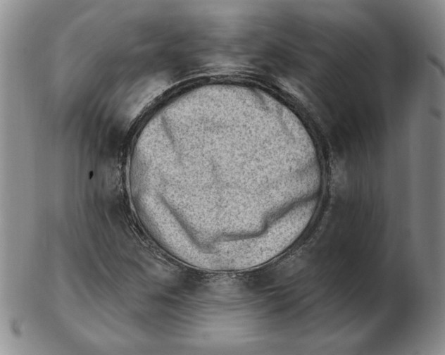 X0000102871259200809081157