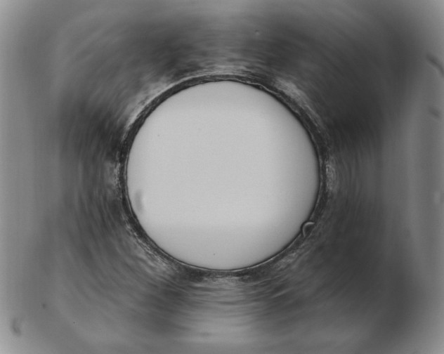 X0000102871260200809081157