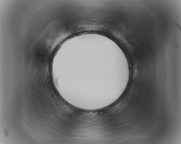 X0000102871261200809081157