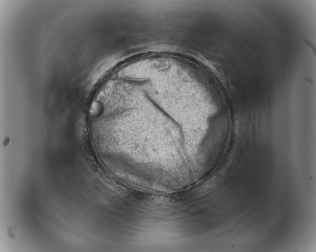 X0000102871263200809081157