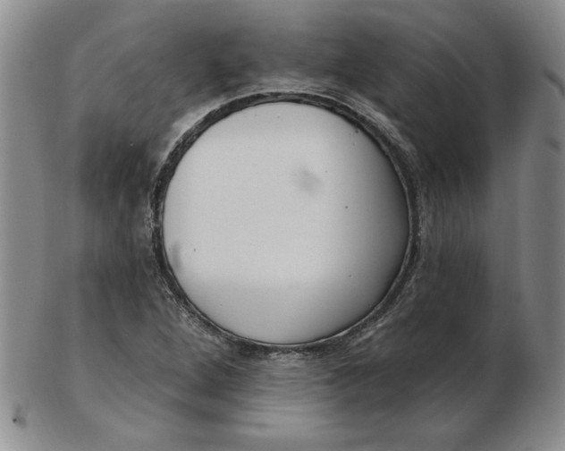 X0000102871264200809081157