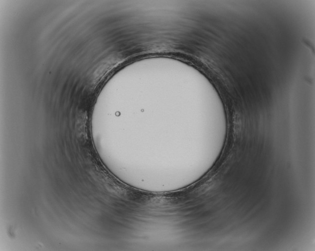 X0000102871265200809081157