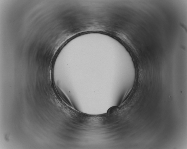 X0000102871268200809081157