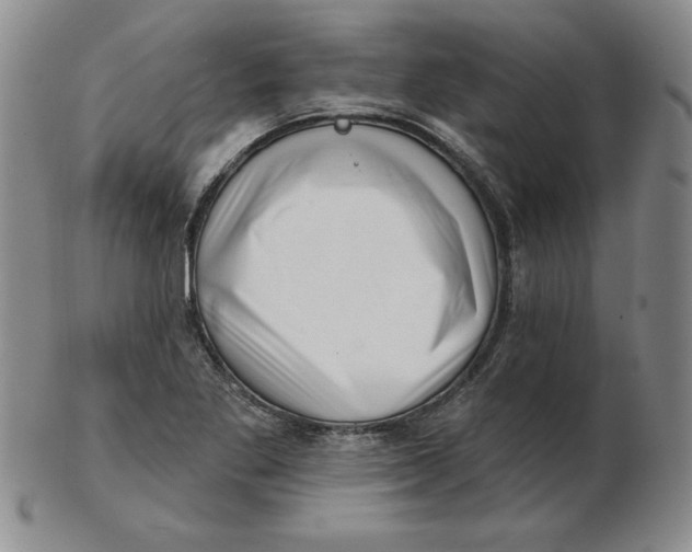 X0000102871269200809081157