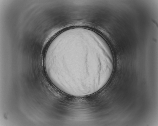 X0000102871270200809081157