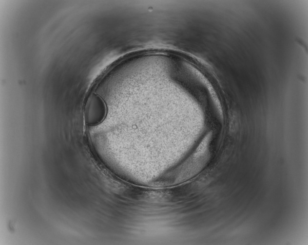 X0000102871271200809081157