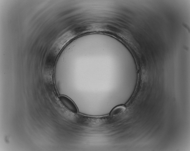 X0000102871273200809081157