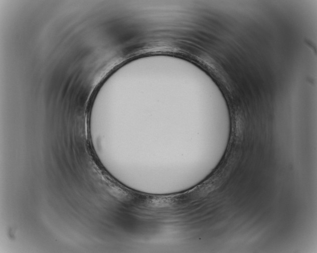 X0000102871274200809081157