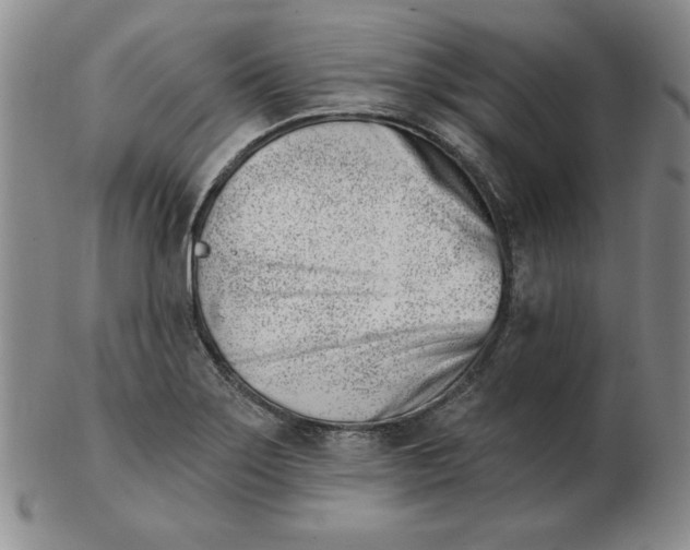 X0000102871275200809081157