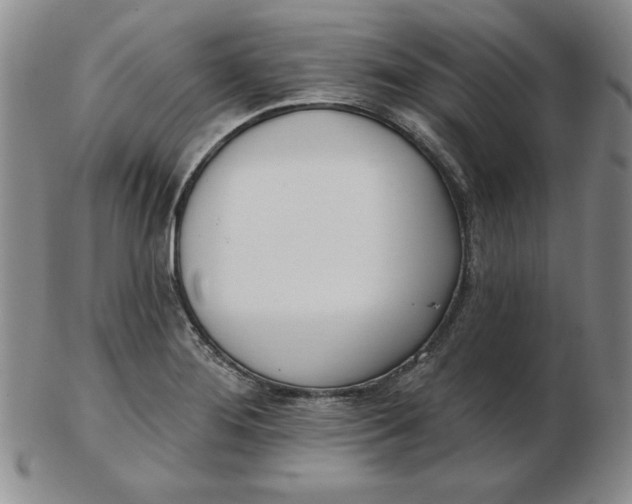 X0000102871276200809081157