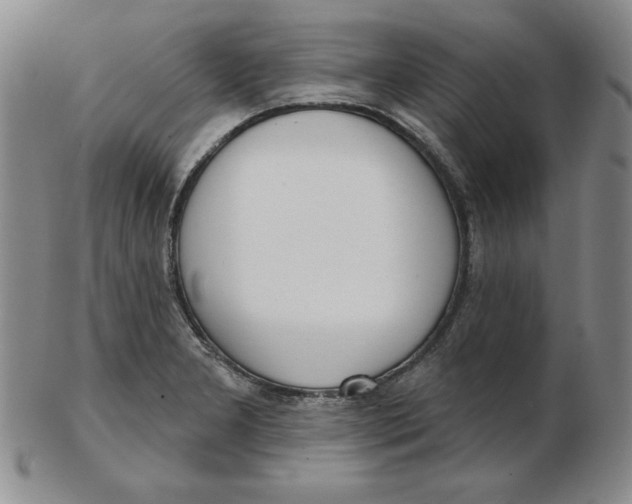 X0000102871277200809081157