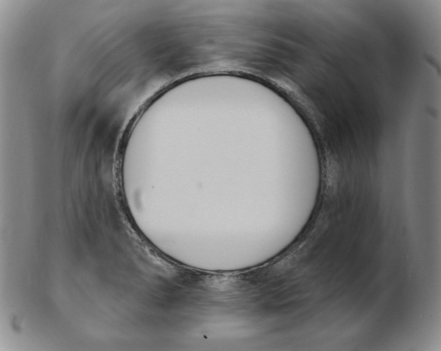 X0000102871278200809081157