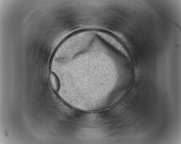 X0000102871279200809081157