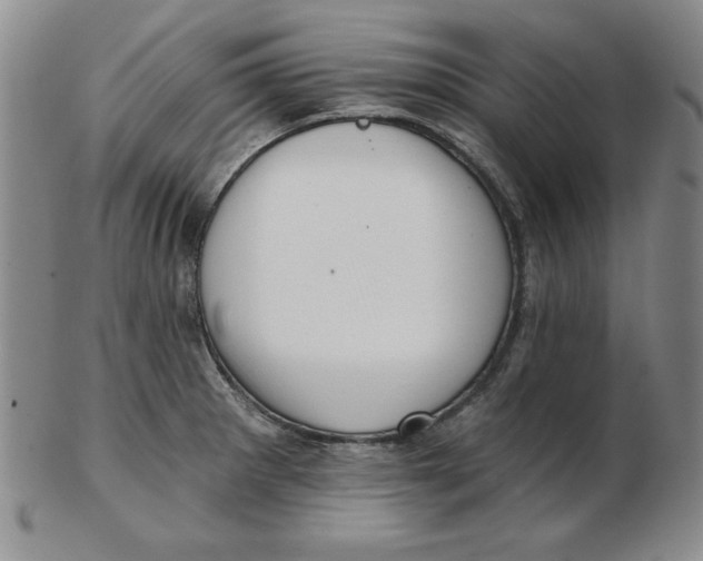 X0000102871281200809081157