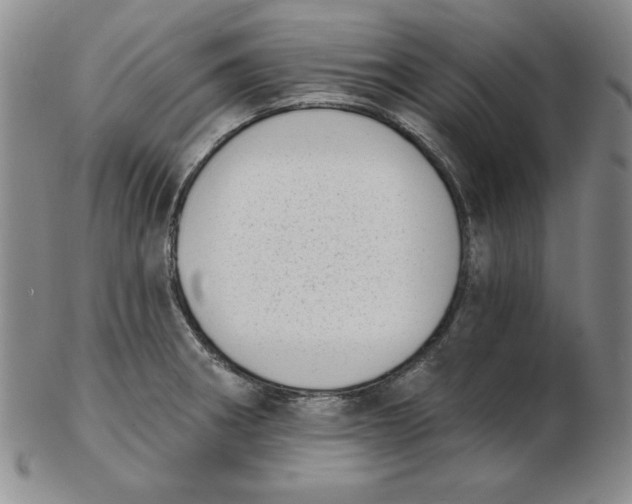 X0000102871282200809081157