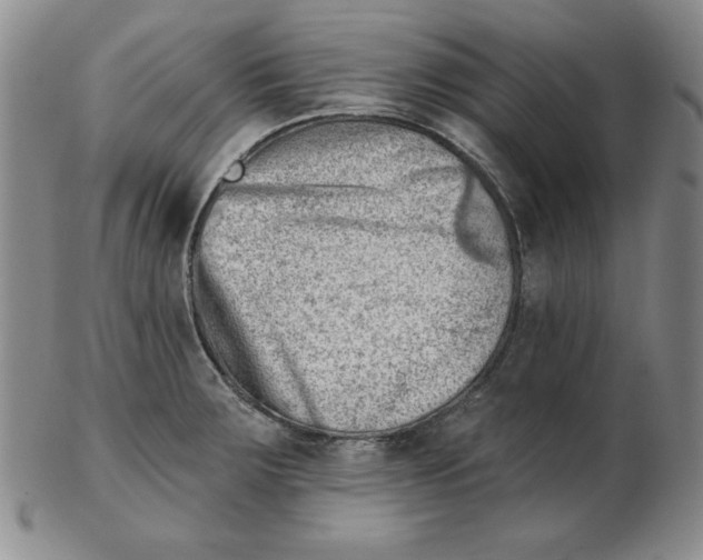 X0000102871283200809081157