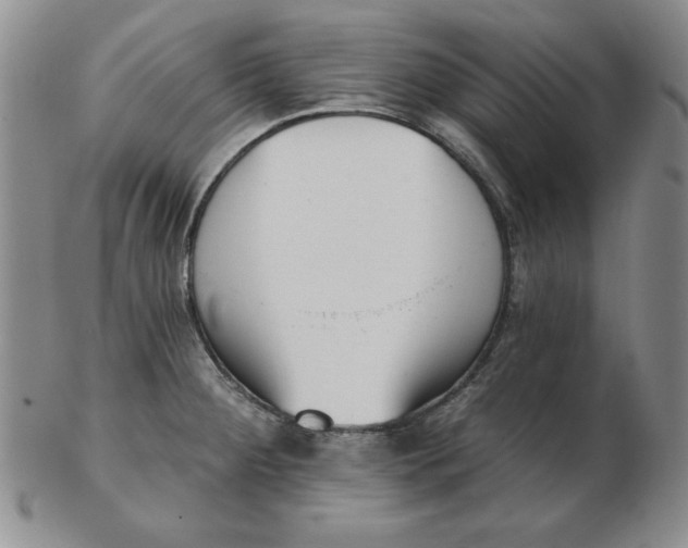 X0000102871284200809081157