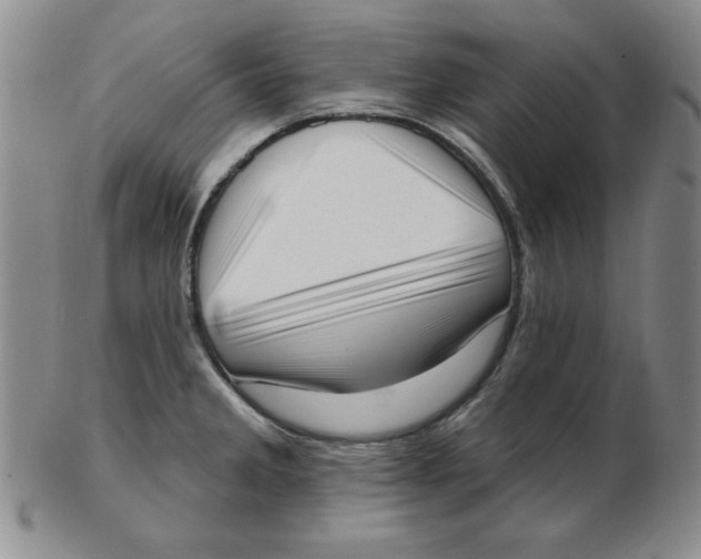 X0000102871285200809081157