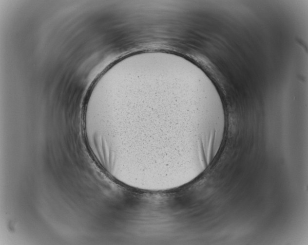 X0000102871286200809081157