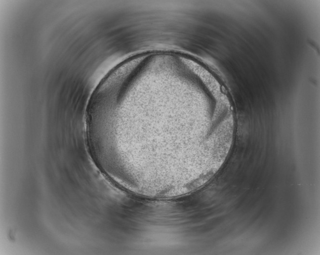 X0000102871287200809081157