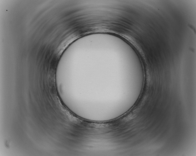 X0000102871289200809081157