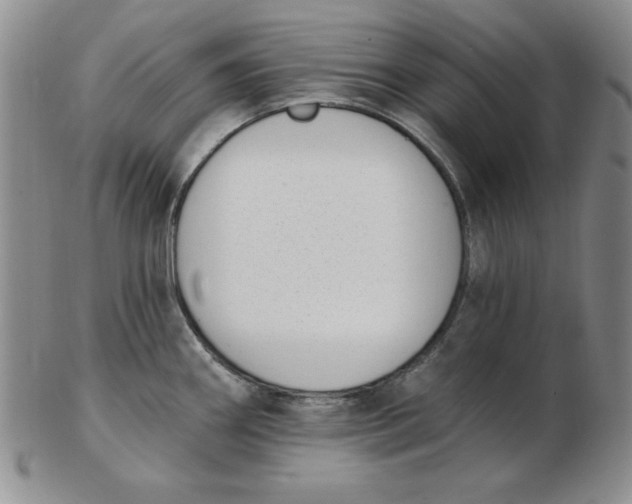 X0000102871290200809081157