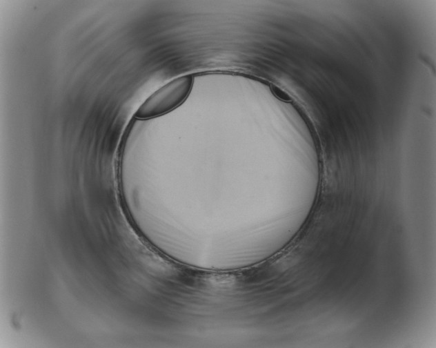 X0000102871291200809081157