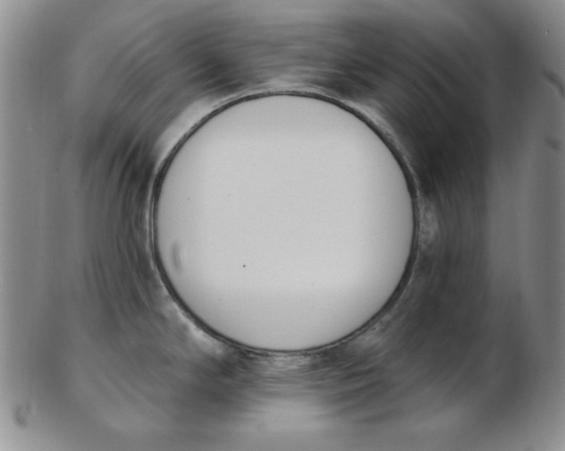 X0000102871294200809081157