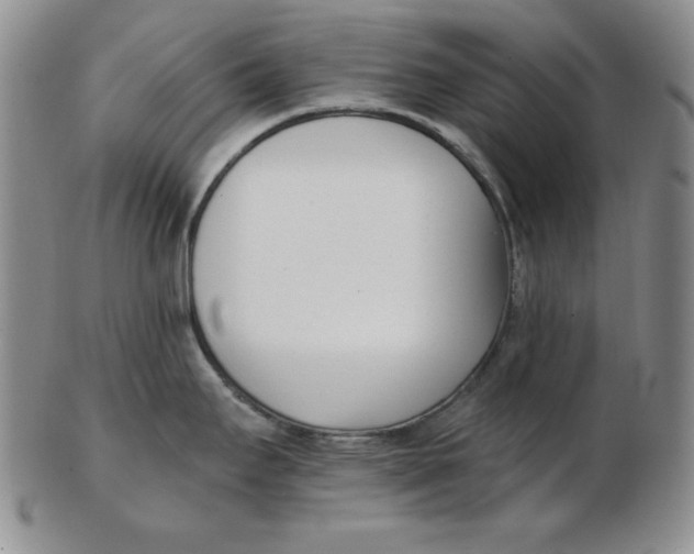 X0000102871295200809081157