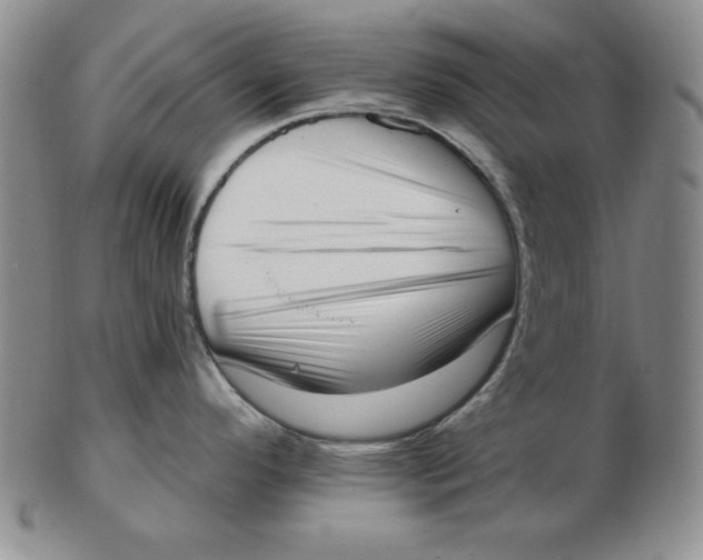 X0000102871296200809081157