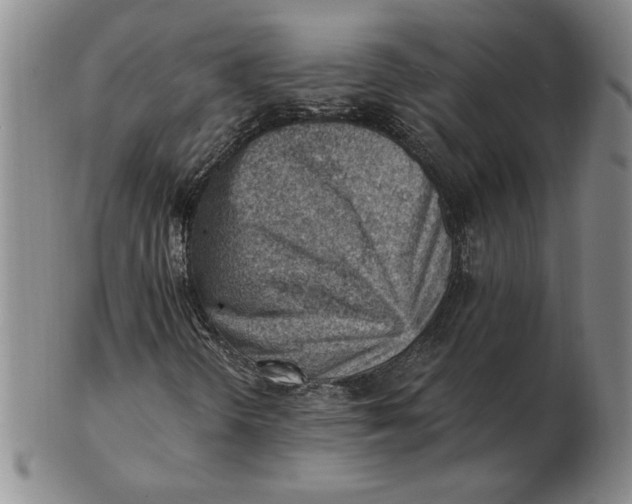 X0000102871298200809081156