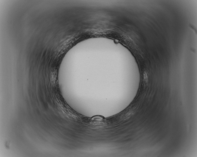 X0000102871300200809081156