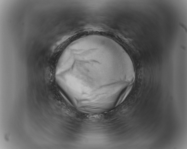 X0000102871303200809081156