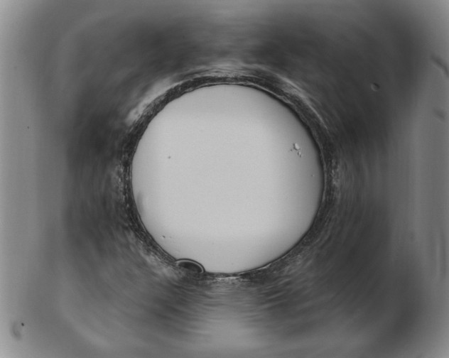 X0000102871304200809081156