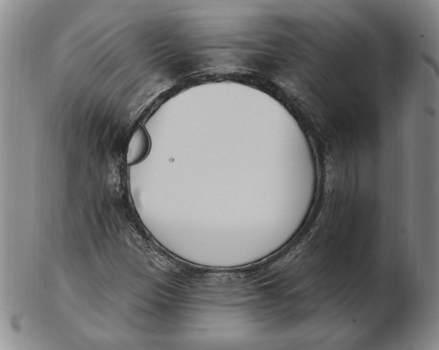 X0000102871305200809081156