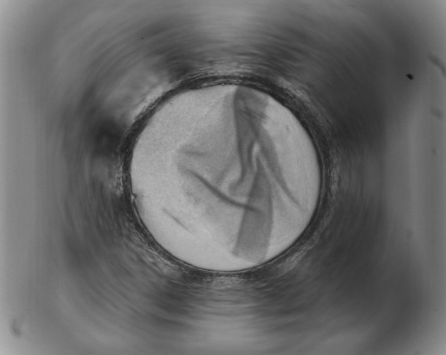 X0000102871306200809081156