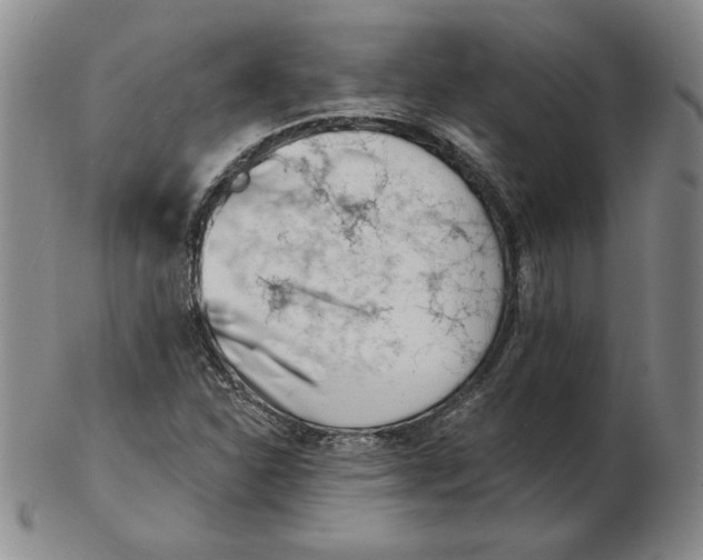 X0000102871310200809081156