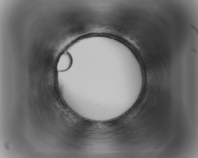 X0000102871311200809081156